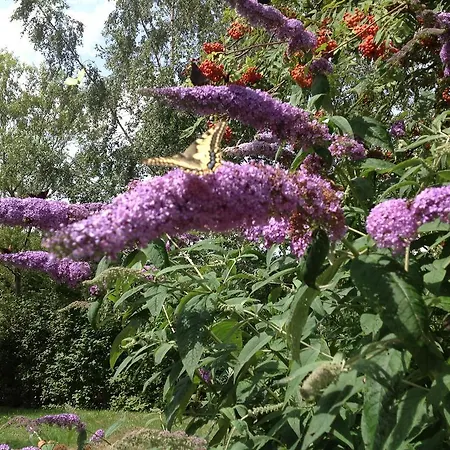 Appartement Hoeve Het Verre Einder *