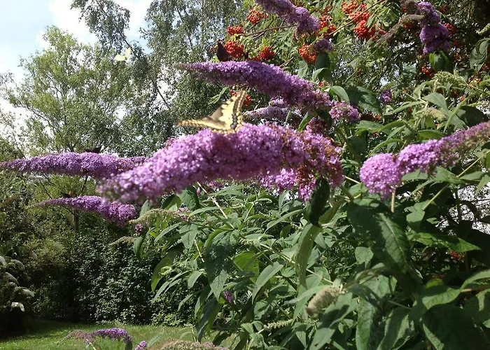 Appartement Hoeve Het Verre Einder *