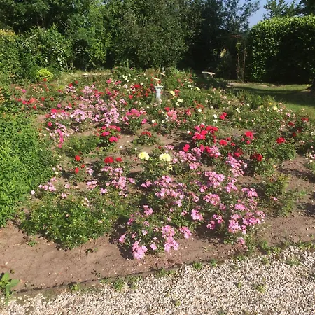 Hoeve Het Verre Einder Apartmán