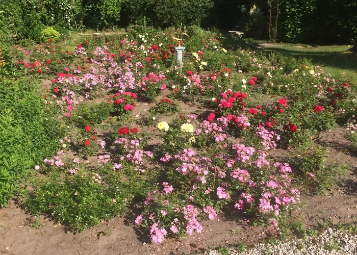 胡威海特维丽茵德公园 公寓